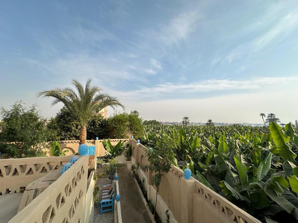 Villa Rebecca Professor'S Paradise Luxor Buitenkant foto