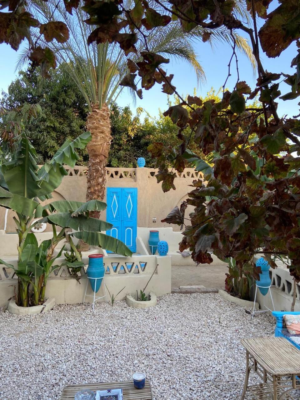 Villa Rebecca Professor'S Paradise Luxor Buitenkant foto